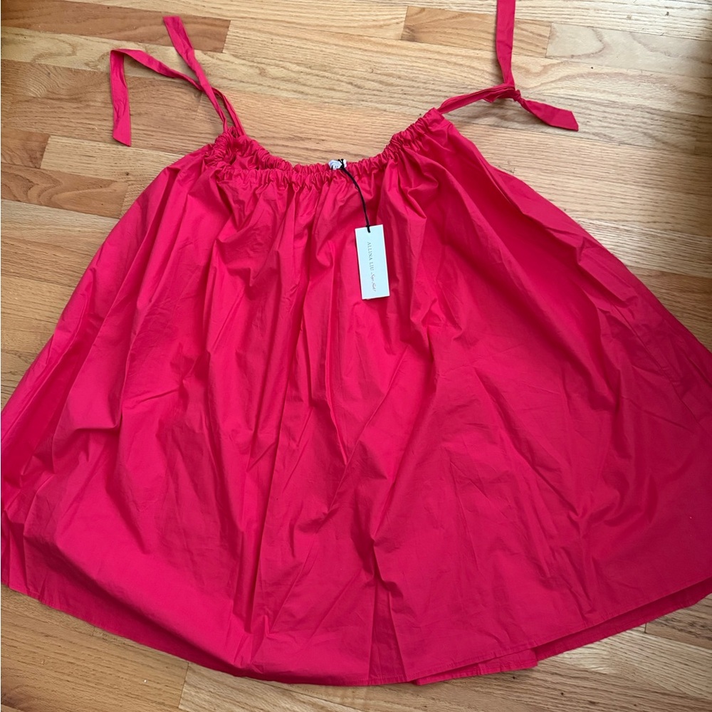 Lisa Says Gah Red A-Line Skirt
